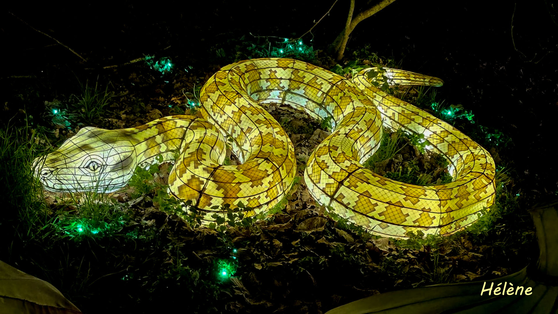 THOIRY -Illumination ,  Lumières sauvages 2025-2026